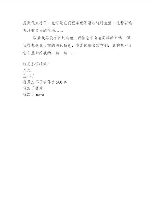 我最忘不了它作文500字