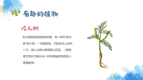 红蓝手绘风格趣味科普小讲堂主题班会PPT课件
