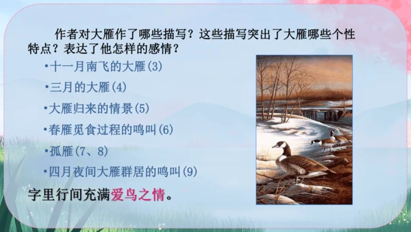 19《大雁归来》课件