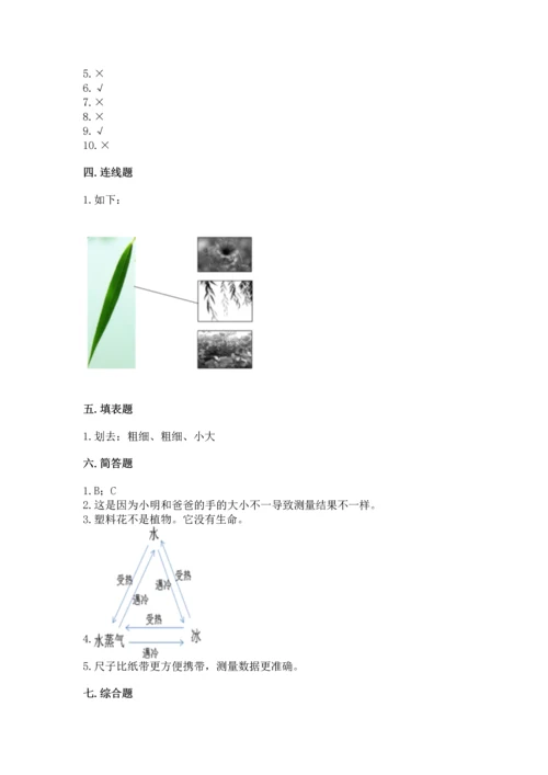 教科版科学一年级上册期末测试卷含答案（夺分金卷）.docx