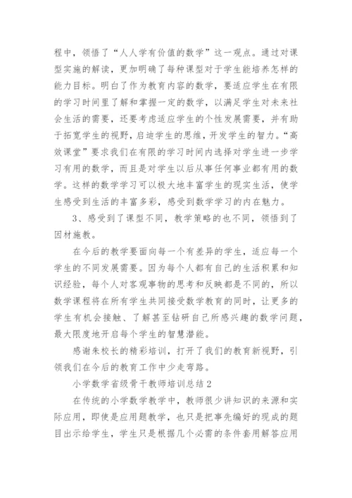 小学数学省级骨干教师培训总结.docx