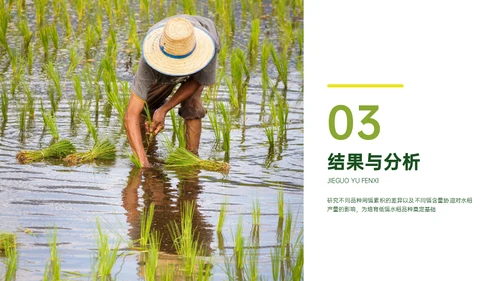 稻谷麦穗增产农作物与重金属污染通用PPT模板