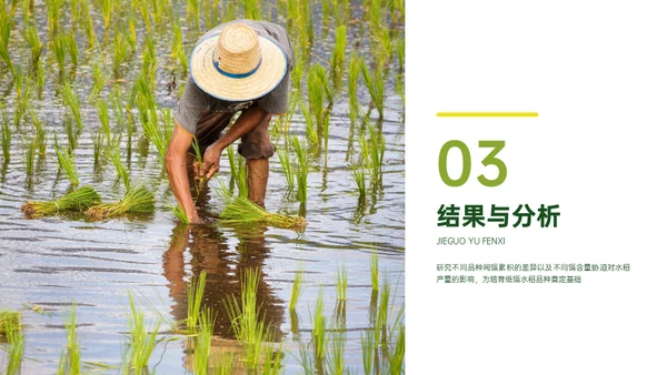 稻谷麦穗增产农作物与重金属污染通用PPT模板