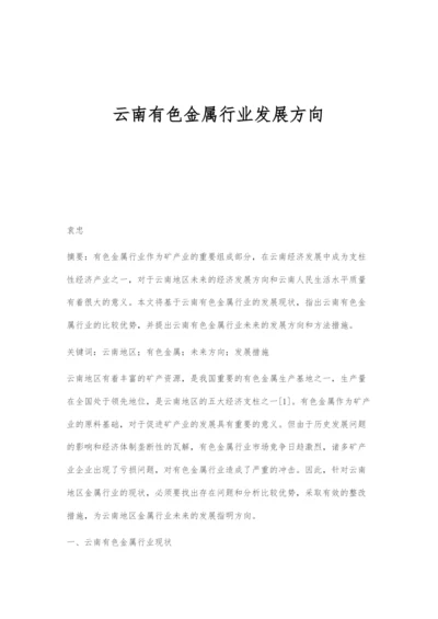 云南有色金属行业发展方向.docx