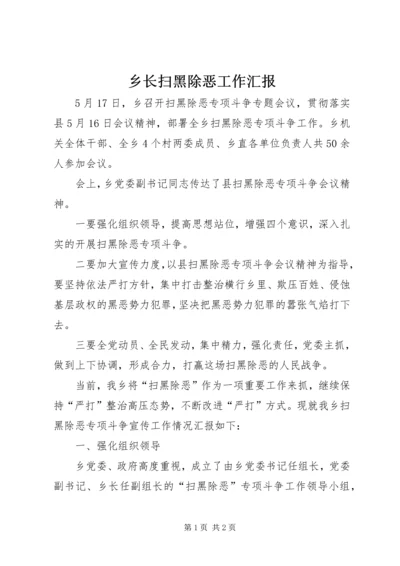 乡长扫黑除恶工作汇报.docx