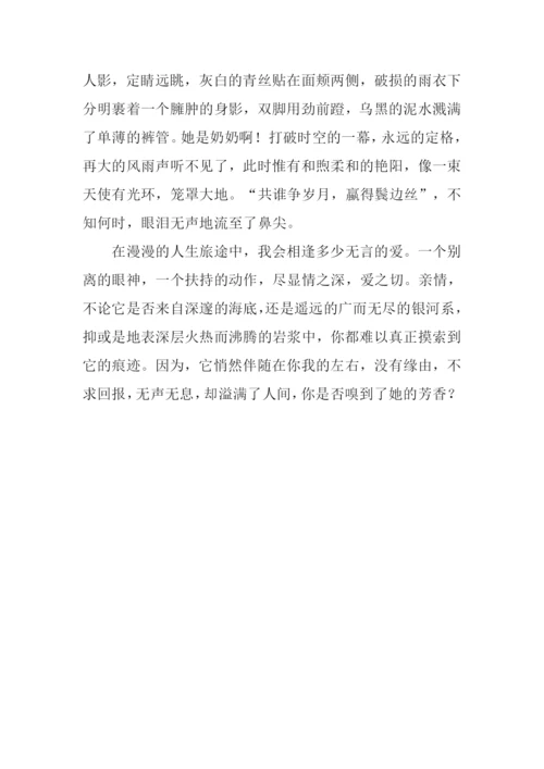 无言的爱作文800字-1.docx