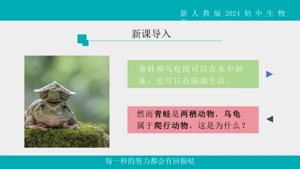 人教版生物七年级上册2.2.2《脊椎动物》（第1课时）课件(共42张PPT)+视频素材