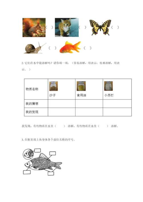 教科版小学科学一年级下册期末测试卷及参考答案（精练）.docx