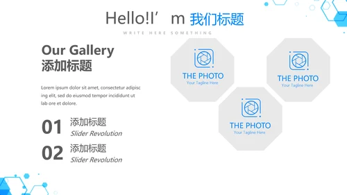 蓝色医疗医药代表工作汇报动态PPT