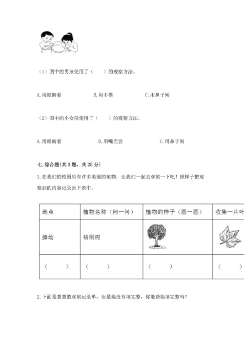 教科版科学一年级上册第一单元《植物》测试卷带答案（综合题）.docx