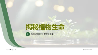 揭秘植物生命