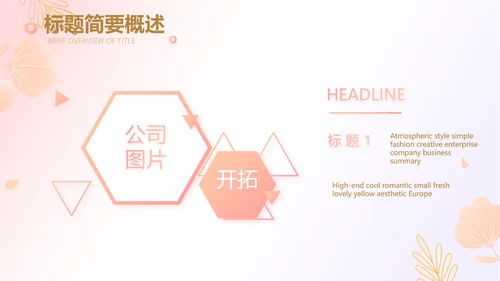 医美创新商业计划书商务PPT动态模板