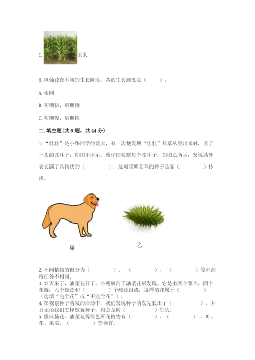 教科版四年级下册科学第一单元《植物的生长变化》测试卷【word】.docx