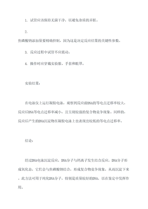 电泳沉淀反应实验报告