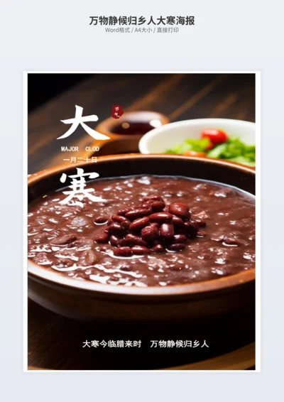万物静候归乡人大寒海报