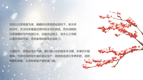 蓝色小清新小雪节气PPT模板