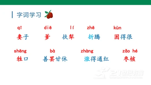 （教学课件）28枣核  课件