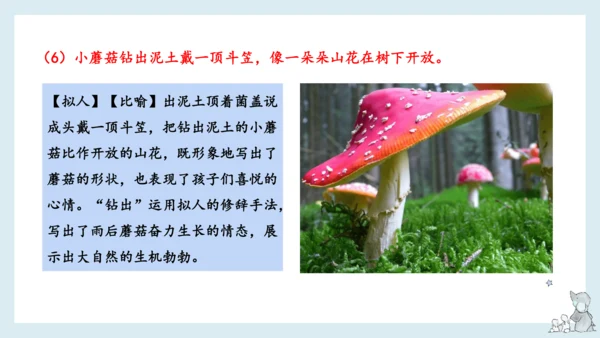 部编版语文三年级下册第六单元知识梳理  课件