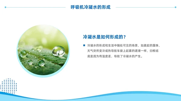 蓝色商务风呼吸机冷凝水的管理医护人员培训PPT护理医疗