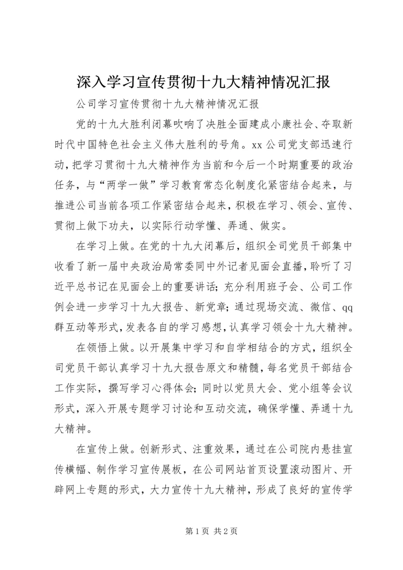 深入学习宣传贯彻十九大精神情况汇报 (2).docx