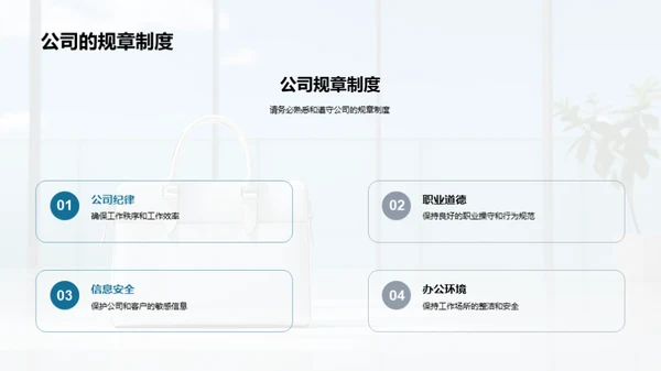 新成员入职指南