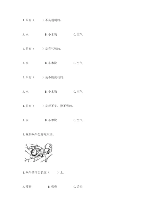 教科版一年级下册科学期末测试卷【研优卷】.docx