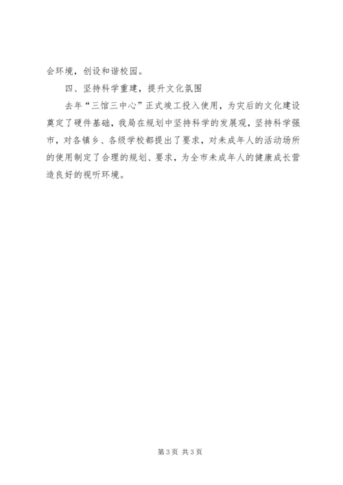 发改委净化社会文化环境汇报.docx