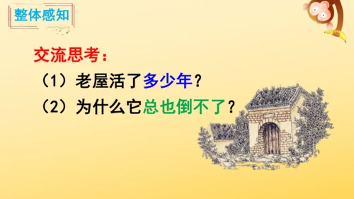 12 总也倒不了的老屋   课件