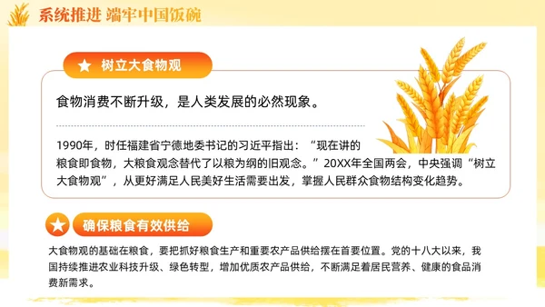 大学生形势与政策保障粮食安全的中国策ppt课件党建