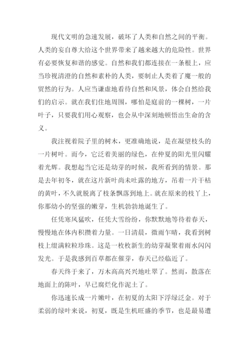 一片树叶作文-2.docx