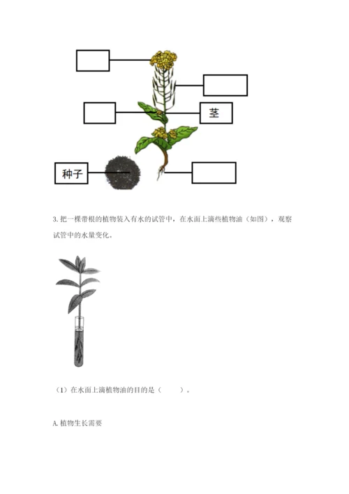 科学四年级下册第一单元《植物的生长变化》测试卷【精选题】.docx
