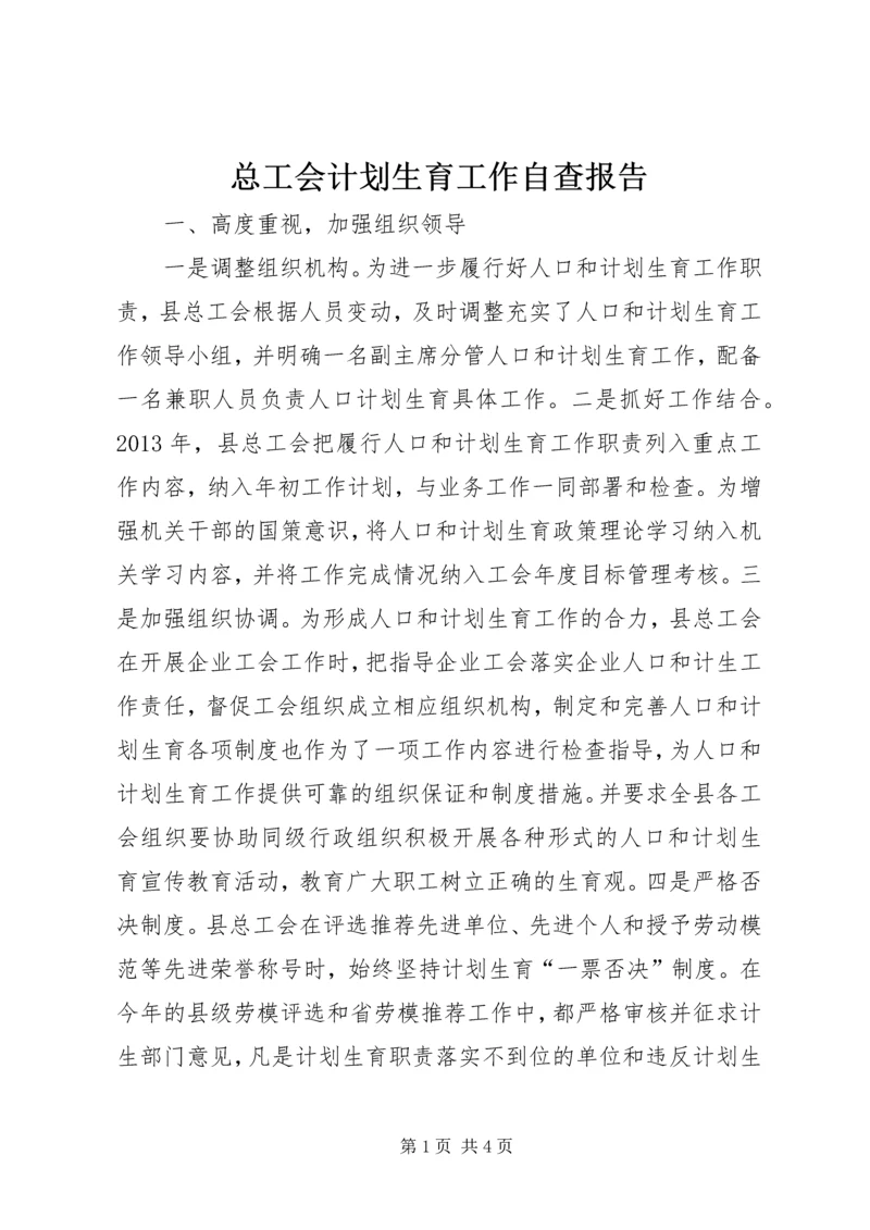 总工会计划生育工作自查报告.docx