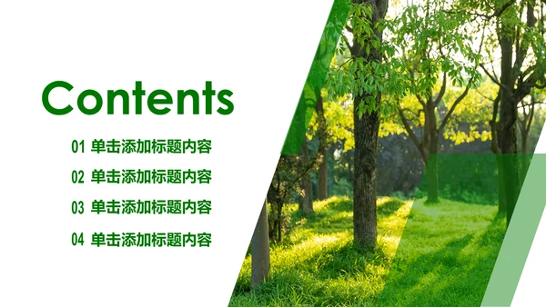 绿色森林湿地环境保护生态森林森业PPT模板