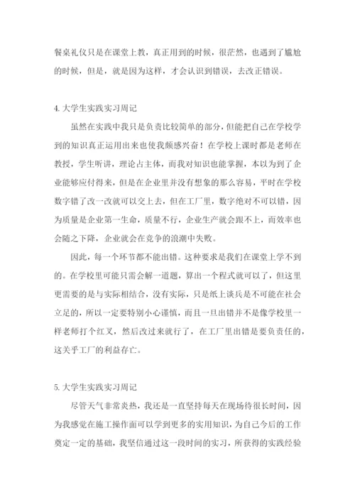 大学生实践实习周记5篇.docx