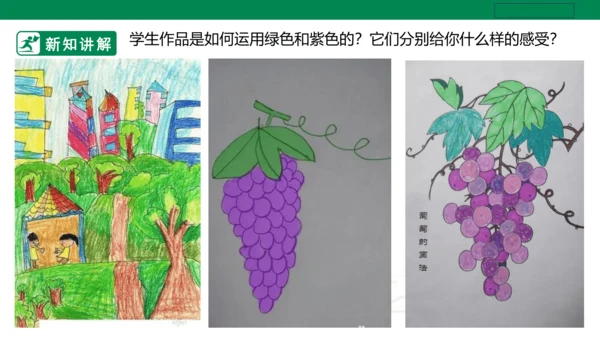 第十二课《绿色和紫色的画》课件