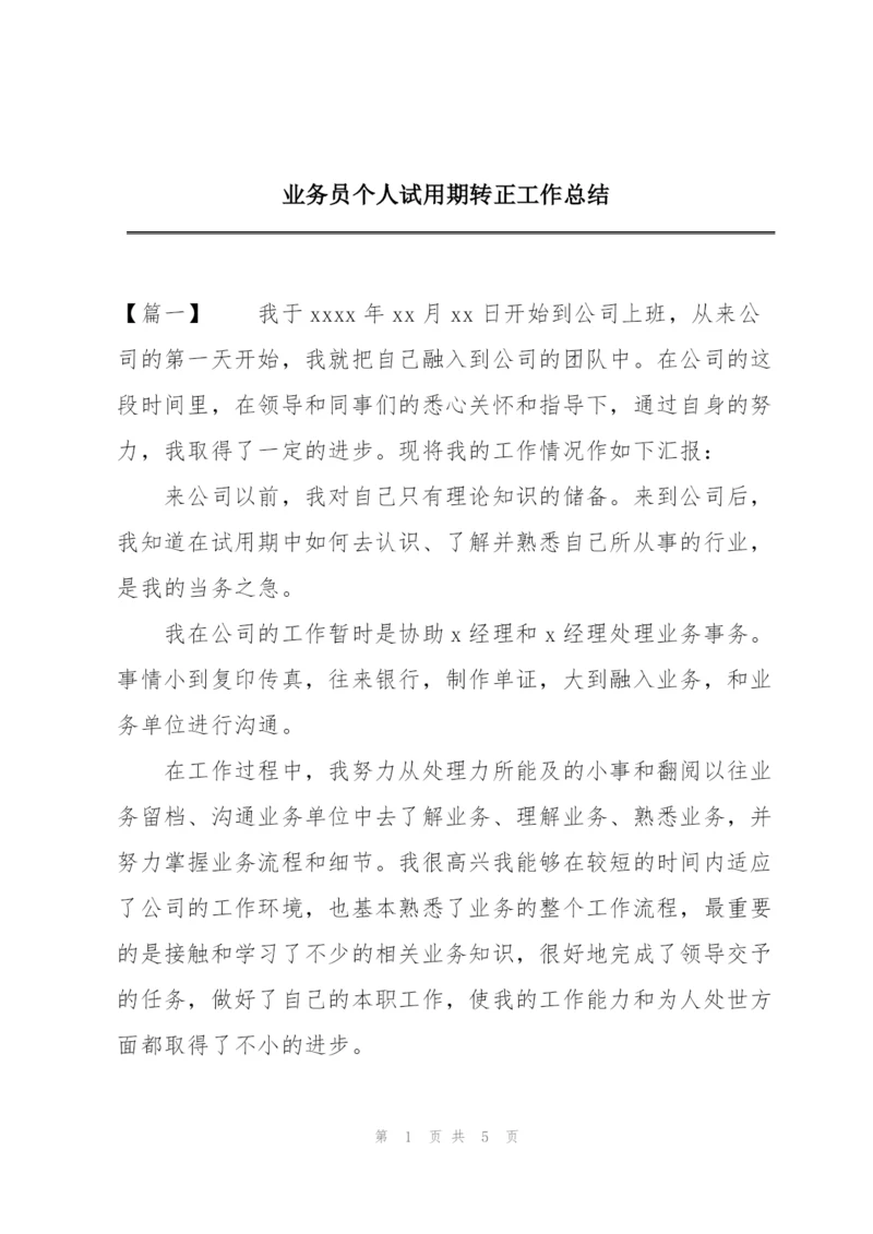 业务员个人试用期转正工作总结.docx