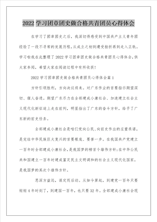 2022学习团章团史做合格共青团员心得体会