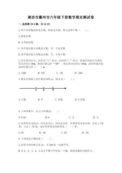 廊坊市霸州市六年级下册数学期末测试卷加精品答案.docx