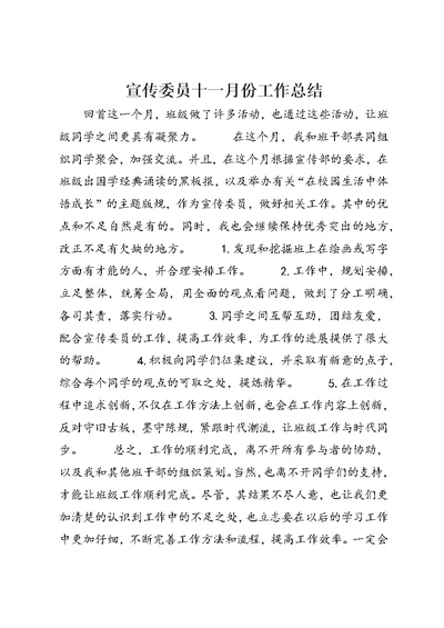 宣传委员十一月份工作总结 (2)