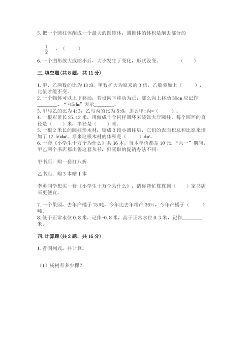 驻马店市新蔡县六年级下册数学期末测试卷往年题考.docx