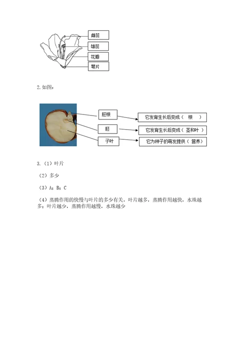 教科版四年级下册科学第一单元《植物的生长变化》测试卷含答案（a卷）