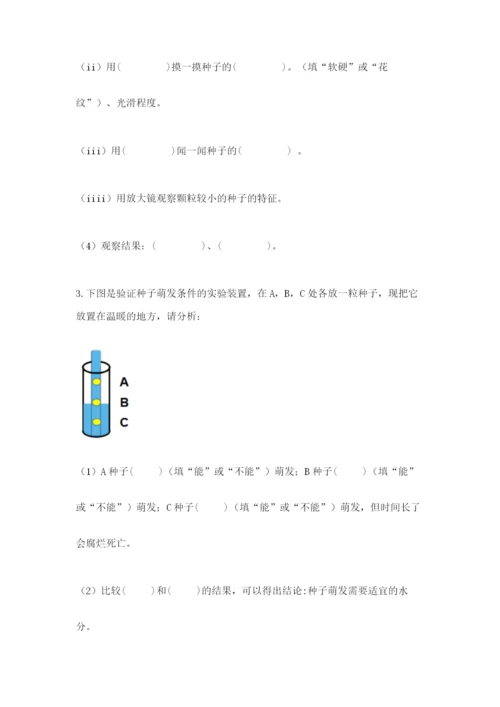 科学四年级下册第一单元《植物的生长变化》测试卷有完整答案.docx