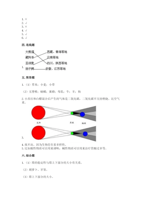 教科版科学六年级下册期末测试卷精品【模拟题】.docx