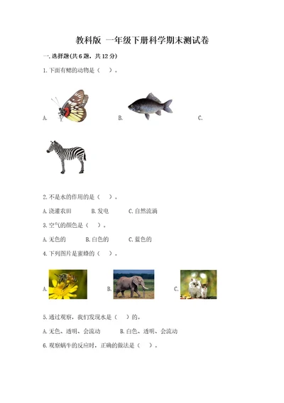 教科版一年级下册科学期末测试卷及一套完整答案