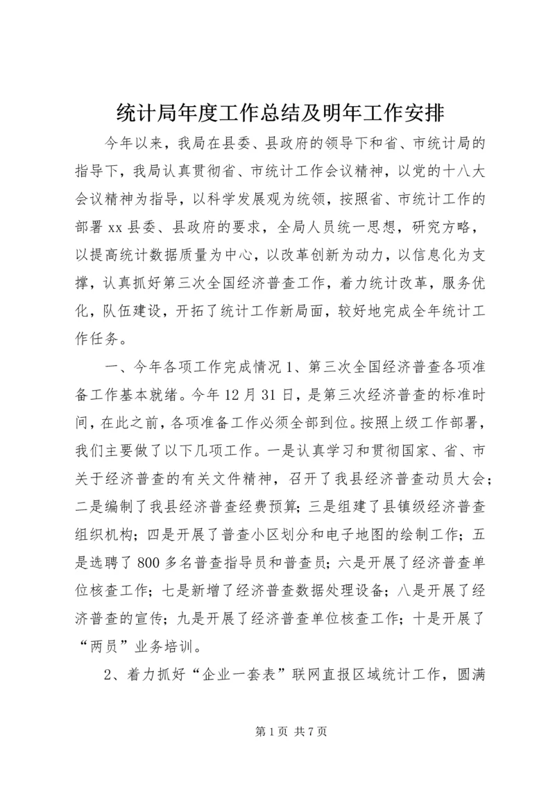 统计局年度工作总结及明年工作安排.docx