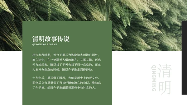 绿色大气清新绿植清明节主题PPT模板