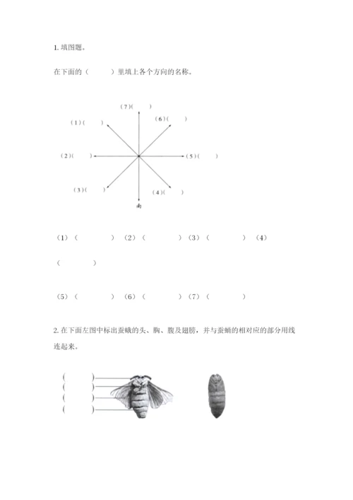 教科版科学三年级下册期末测试卷精品【预热题】.docx