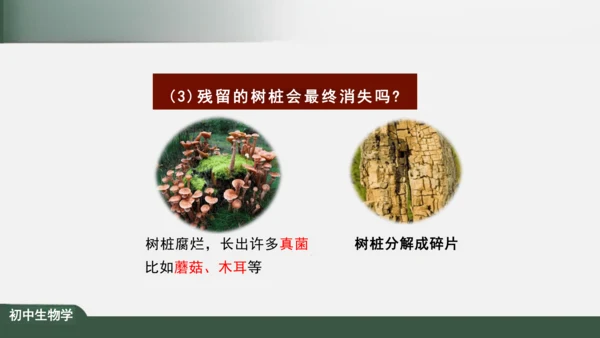 1.2.2 生物与环境组成生态系统 课件（共30张PPT）
