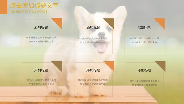 可爱宠物店猫猫狗狗通用PPT模板