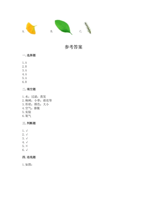 教科版科学一年级上册第一单元《植物》测试卷【研优卷】.docx